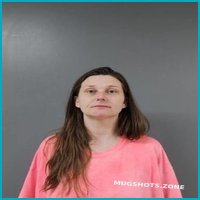 Blount County Mugshots: Latest Arrests & Public Records Scrutinized