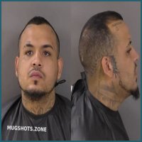 Indian River County Mugshots: What You Need to Know