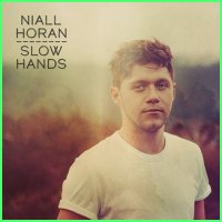 Niall Horan's 'Slow Hands': Decoding the Sultry Song's Enduring Appeal
