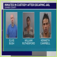 Sumner County Jail Mugshots: What's Behind the Headlines?